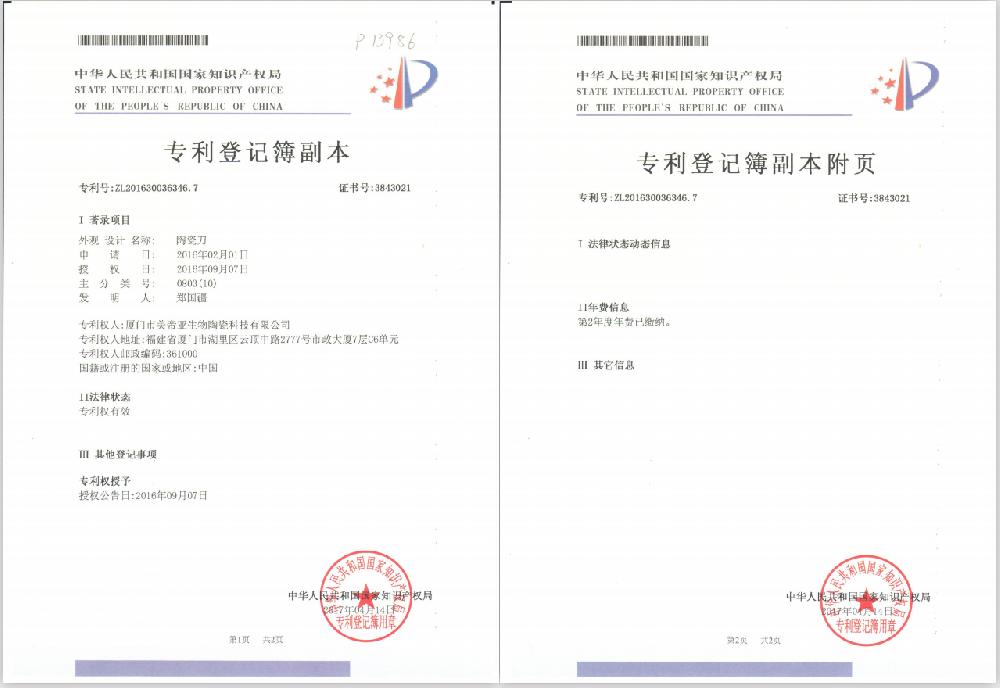 火焰纹专利报告.png